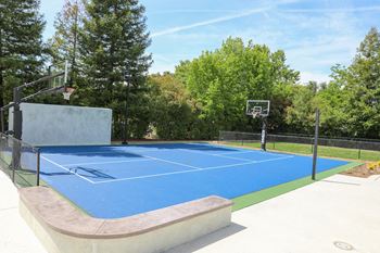 Sport court